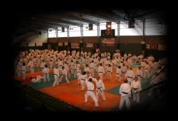 Un tatami impressionnant de 500 m²