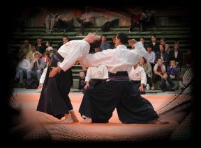 Démonstration de JuJitsu Traditionnel