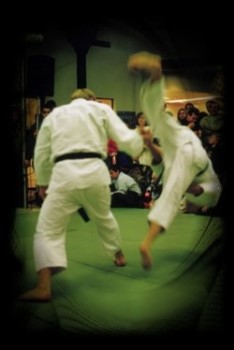 Démonstration de JuJitsu Traditionnel